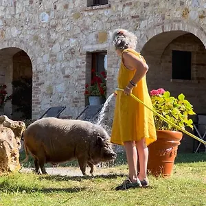 agriturismo-sole.it-tuscanyhotel.com/